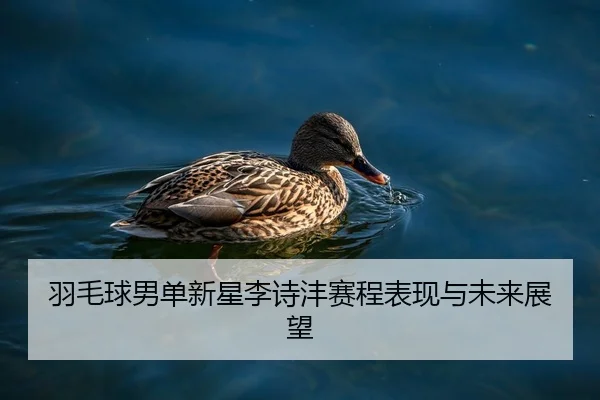 羽毛球男单新星李诗沣赛程表现与未来展望